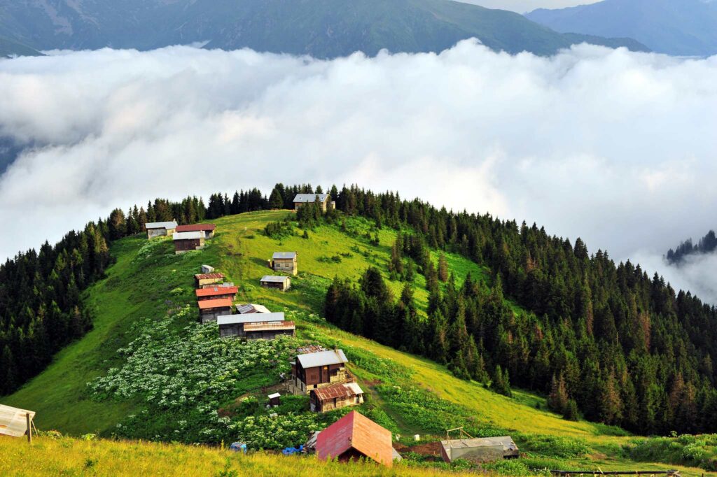 Trabzon